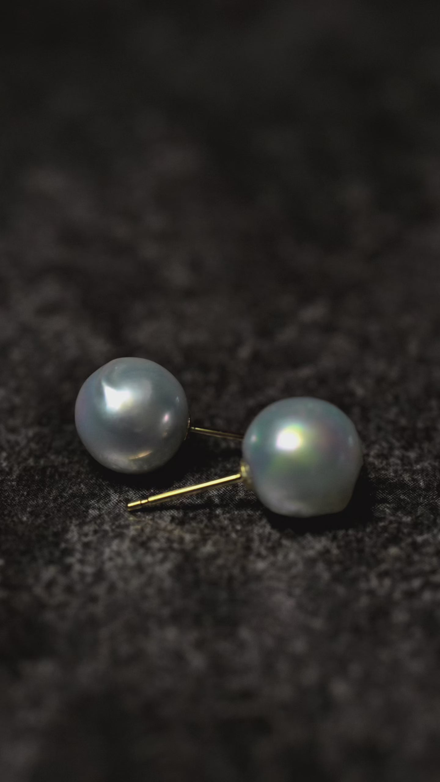 Pearl Pierce #008
