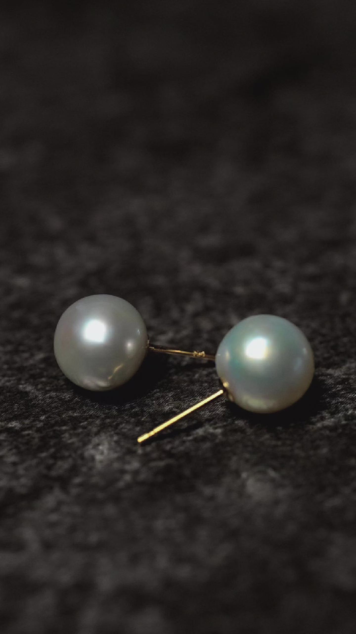 Pearl Pierce #005